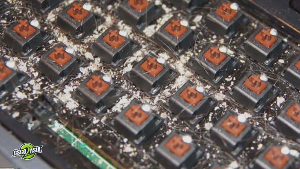 dandruff under red switch mechanical keyboard